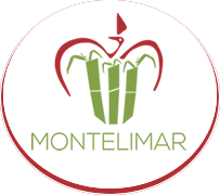 Ingenio Montelimar